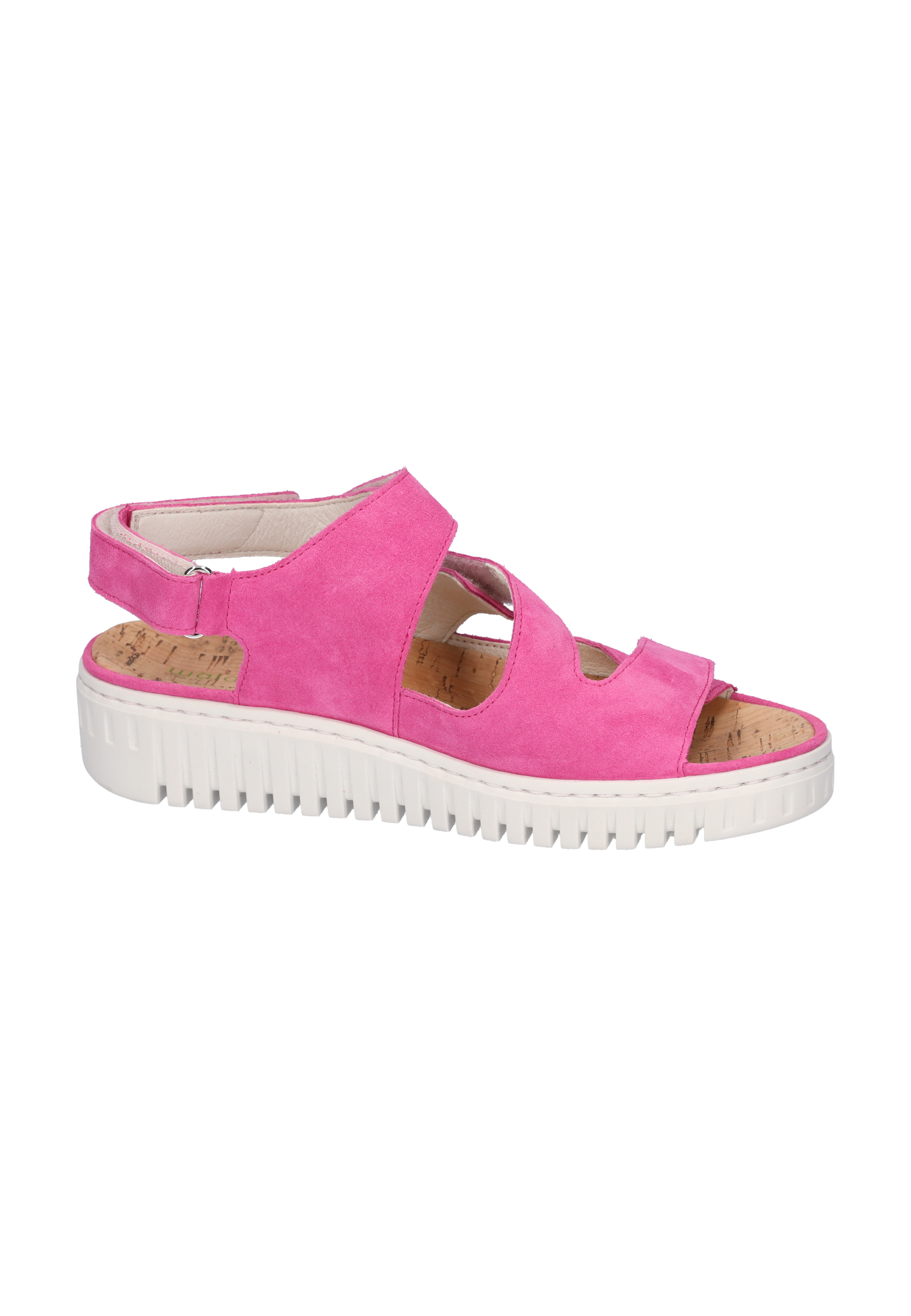H-Willow orchid Produktbild von: H-Willow orchid