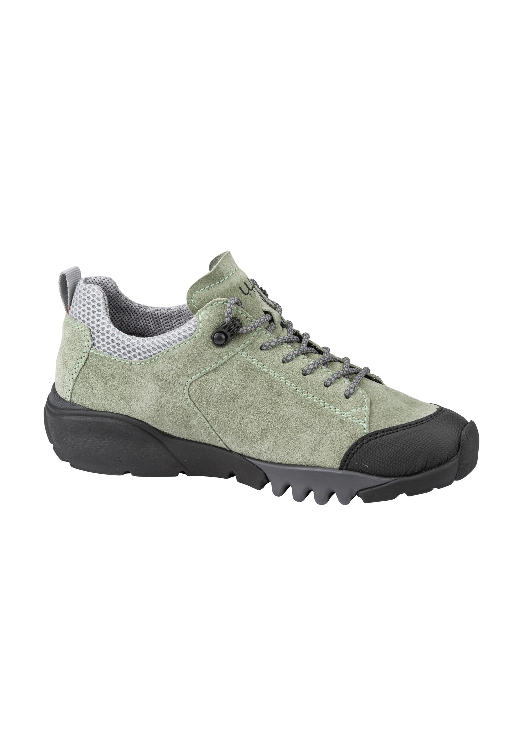 H-Amiata minze silber Produktbild von: H-Amiata minze silber