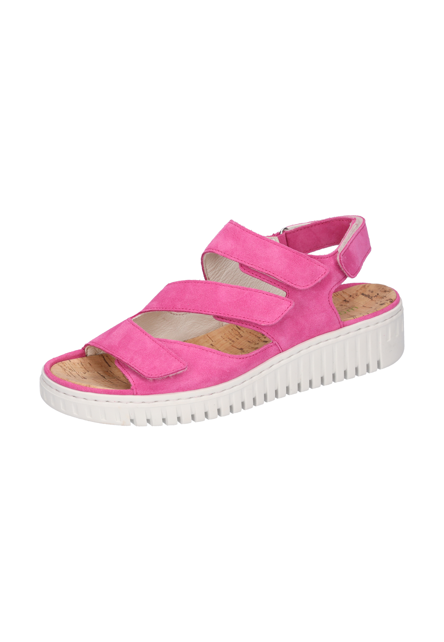 H-Willow orchid Produktbild von: H-Willow orchid