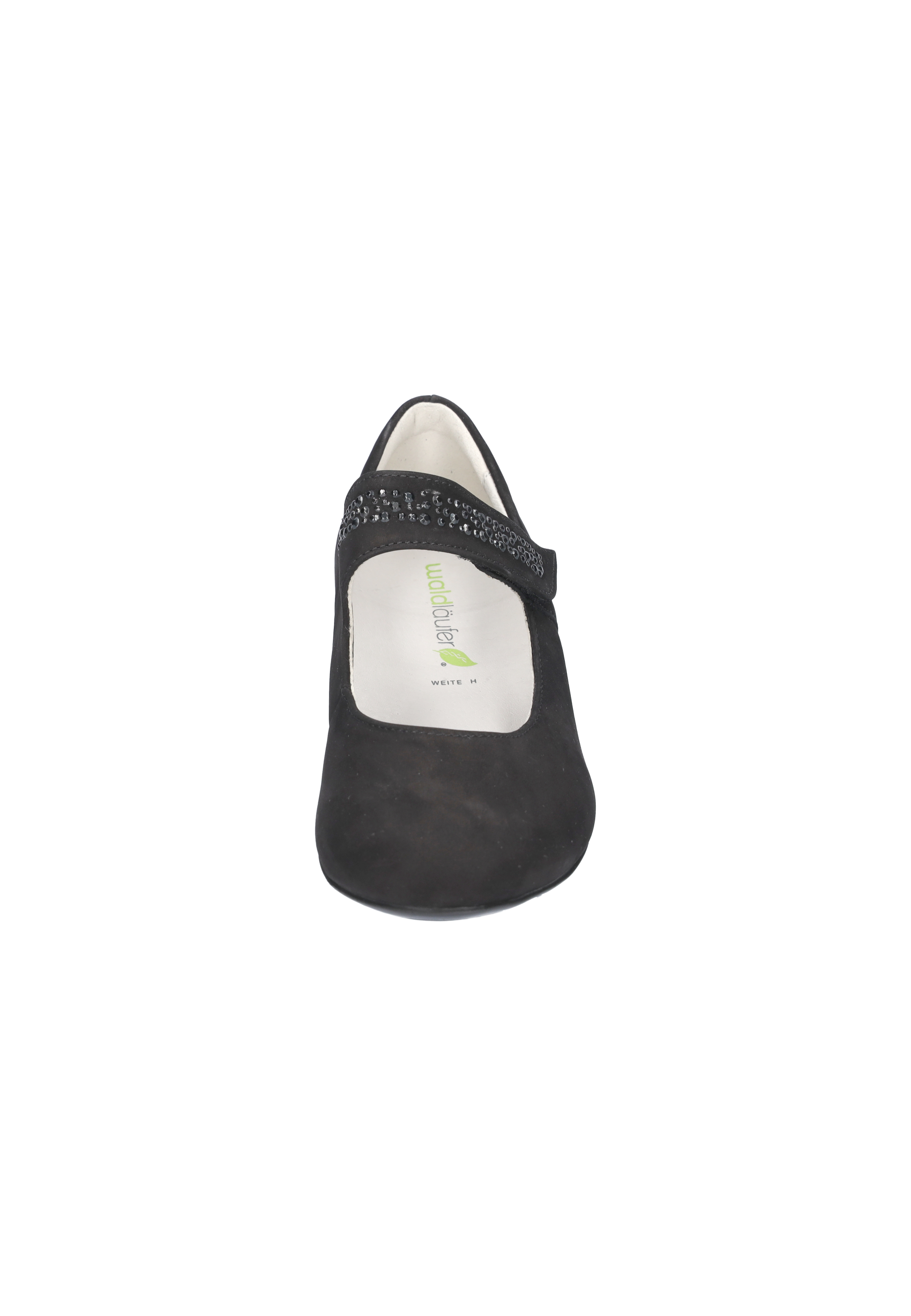 Hilaria notte Produktbild von: Hilaria notte