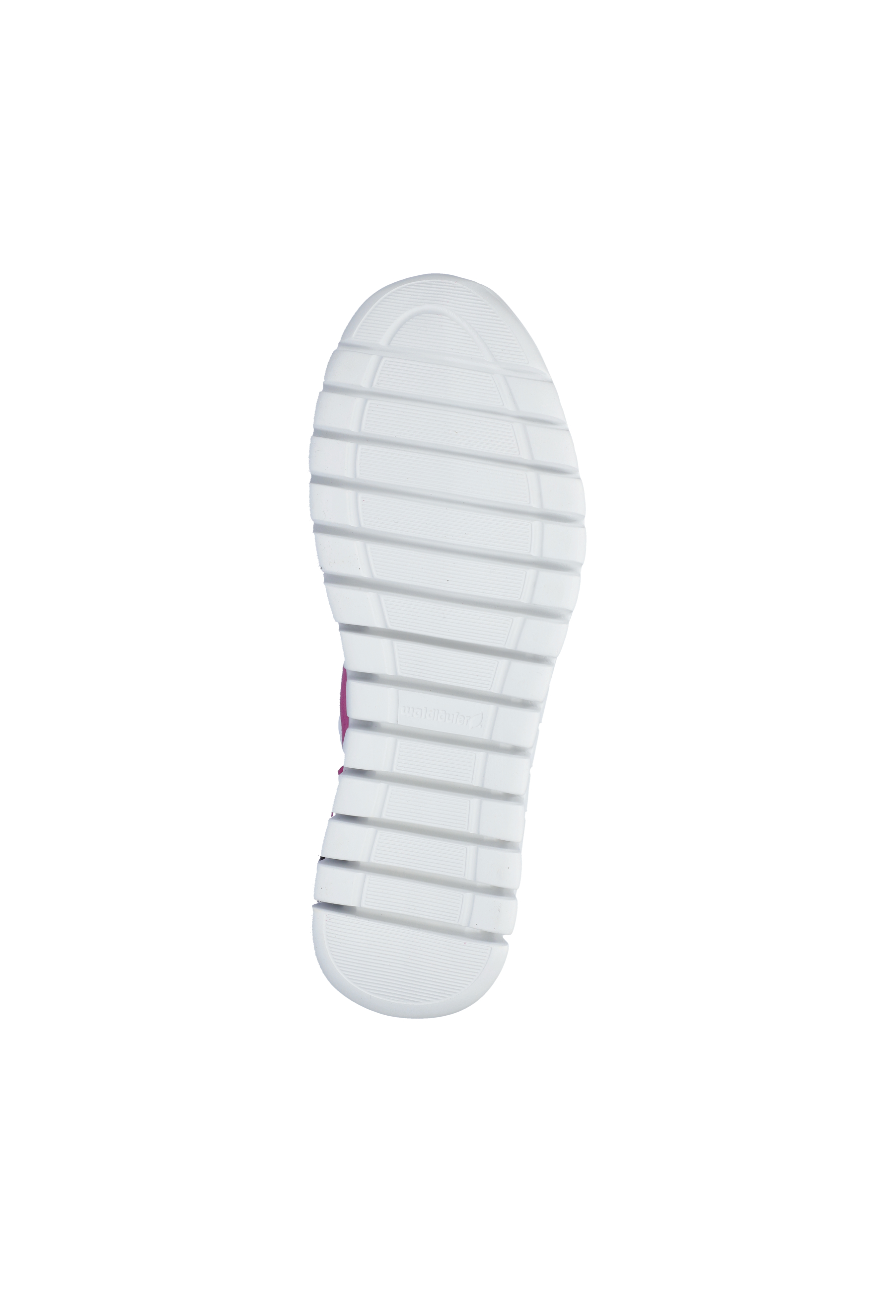 H-Birdy orchid Produktbild von: H-Birdy orchid
