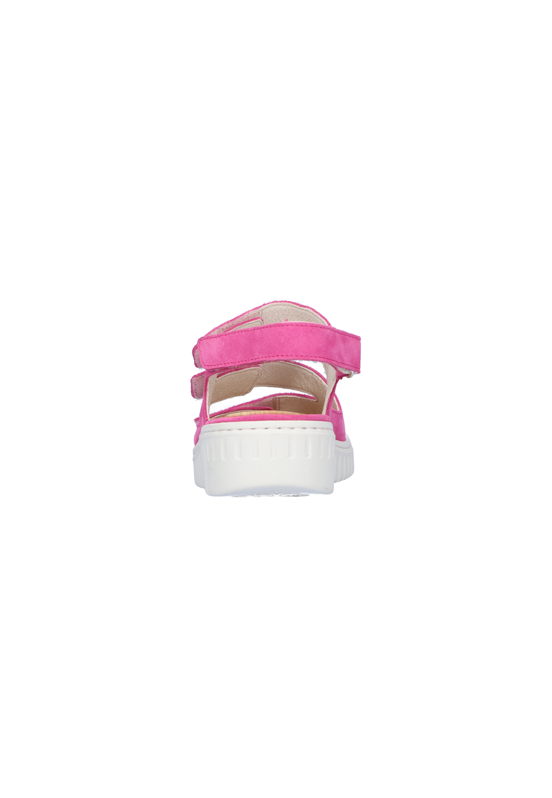 H-Willow orchid Produktbild von: H-Willow orchid
