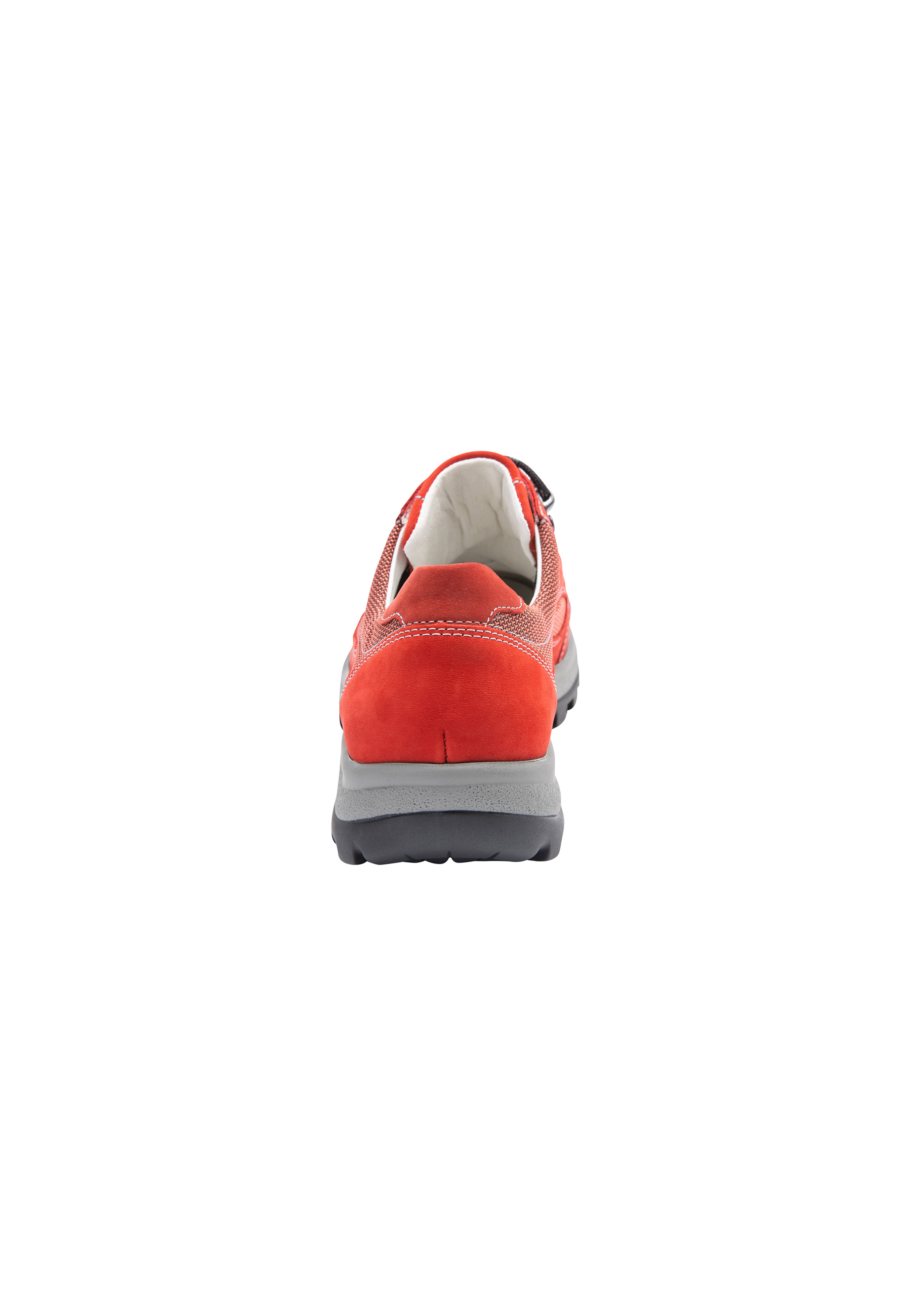Holly firmino fire cherry Produktbild von: Holly firmino fire cherry