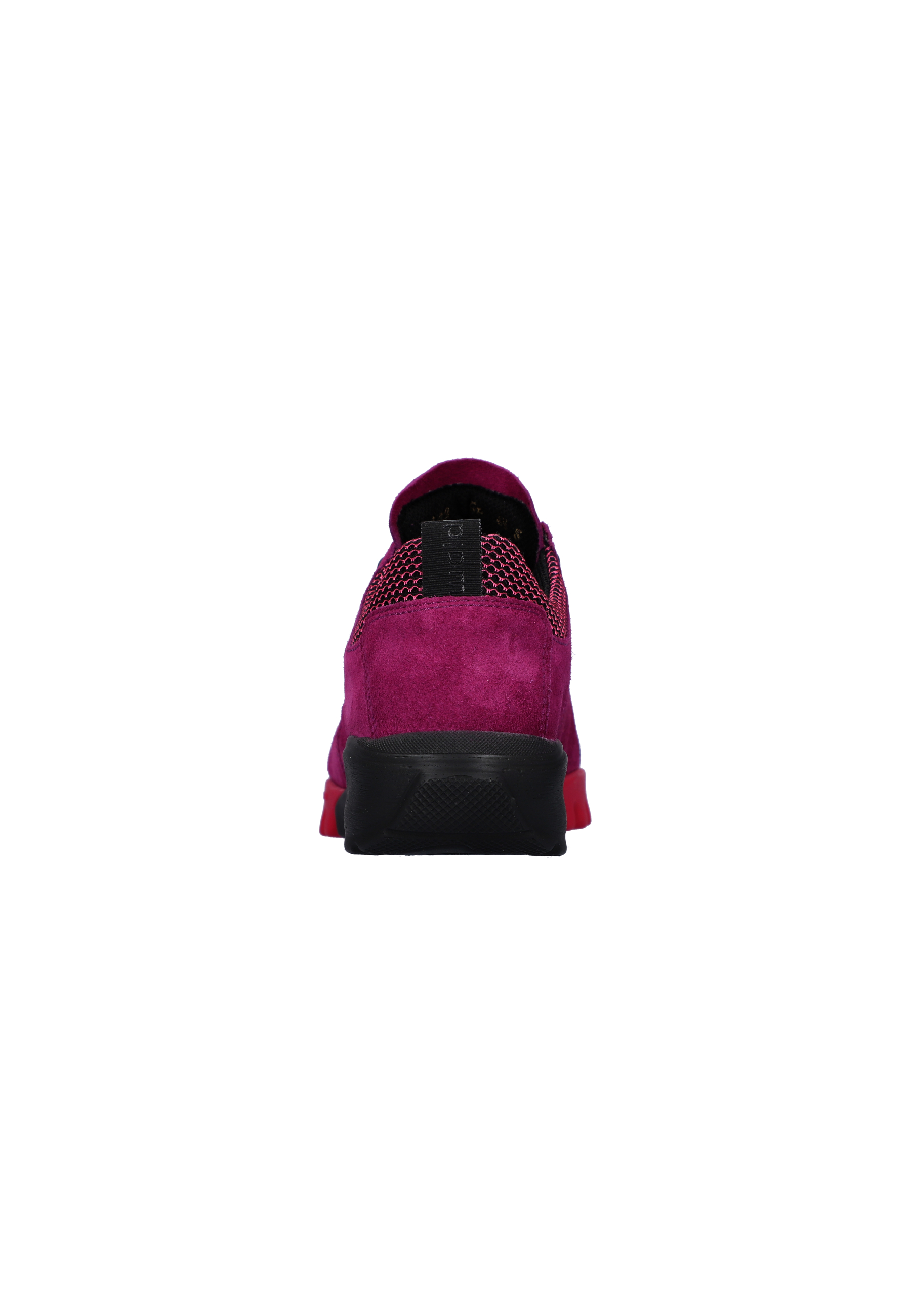 H-Amiata fuchsia Produktbild von: H-Amiata fuchsia